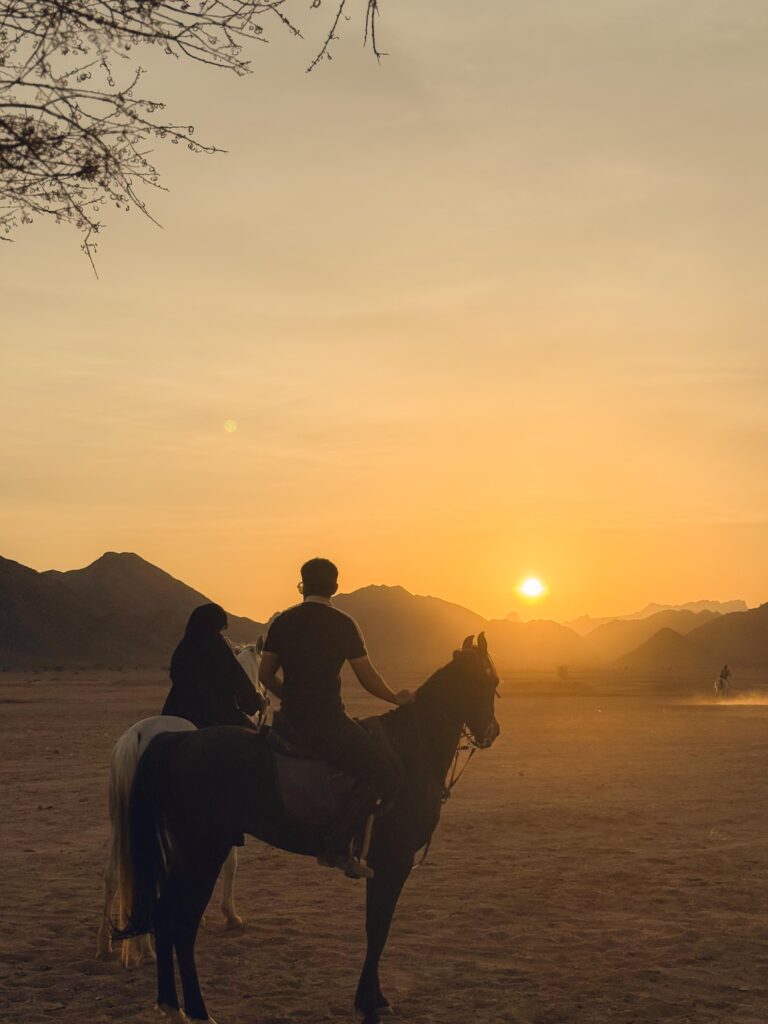 land arrangement paket wisata berkuda al madinah royal tour haramain (3) land arrangement paket wisata berkuda al madinah royal tour haramain (3)