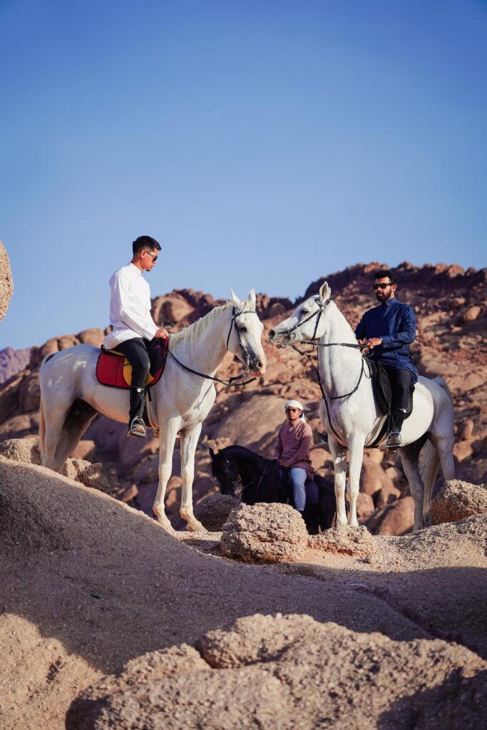 land arrangement paket wisata berkuda al madinah royal tour haramain (4) land arrangement paket wisata berkuda al madinah royal tour haramain (4)