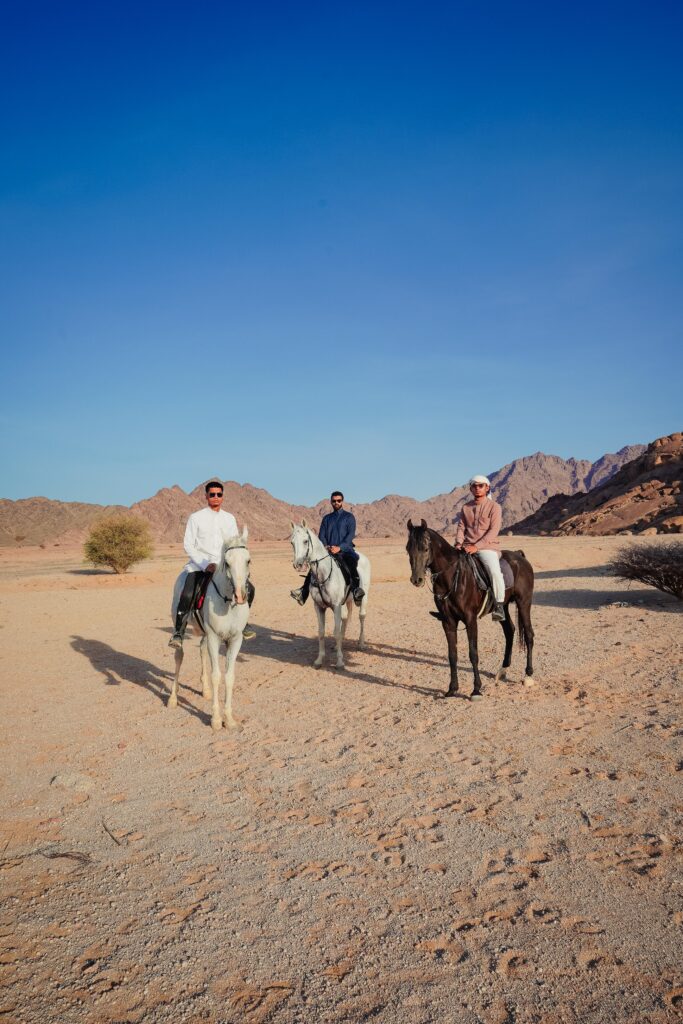land arrangement paket wisata berkuda al madinah royal tour haramain (7) land arrangement paket wisata berkuda al madinah royal tour haramain (7)